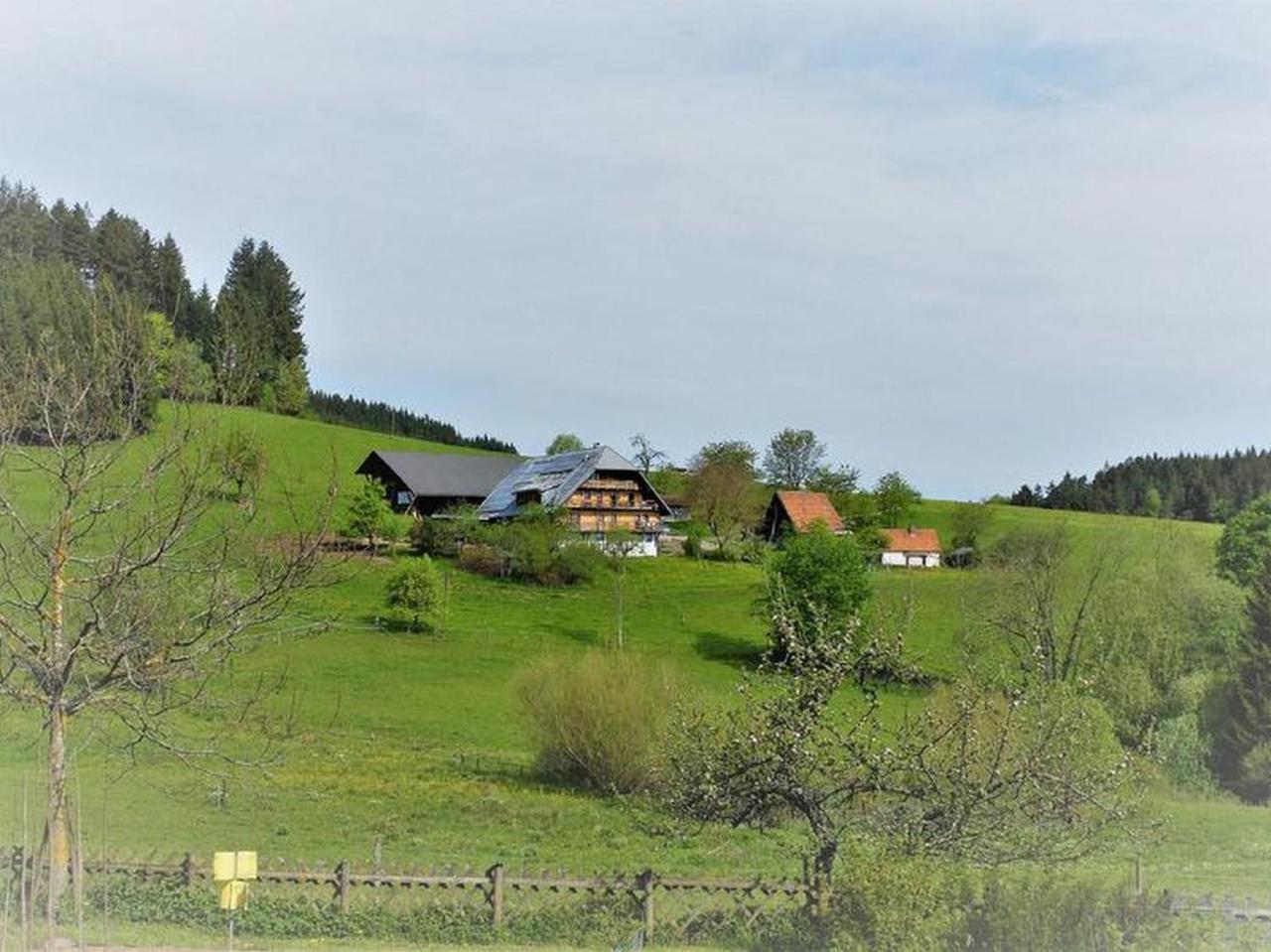 Ferienwohnung Sigmundenhof Schonach im Schwarzwald Exterior foto